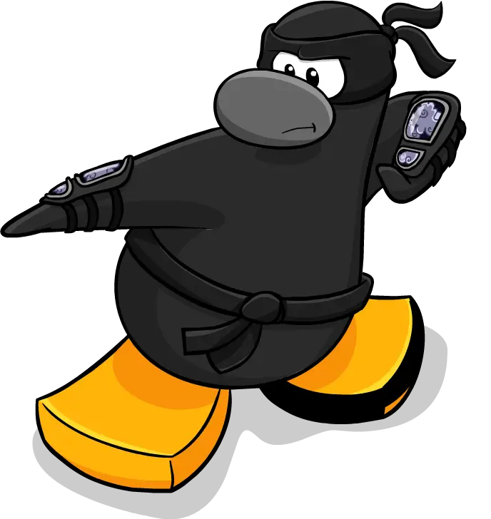 ninjaTitulo